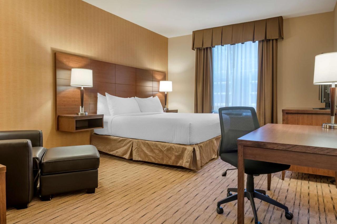 Best Western Plus, Bathurst Hotel & Suites Екстер'єр фото